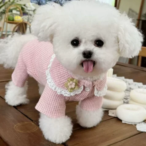 Pet Sweater Petal Cream Teddy Plush Sweater Bear Yorkshire Set Autumn/Winter Coat Puppy Clothes Dog Clothes for Small Dogs