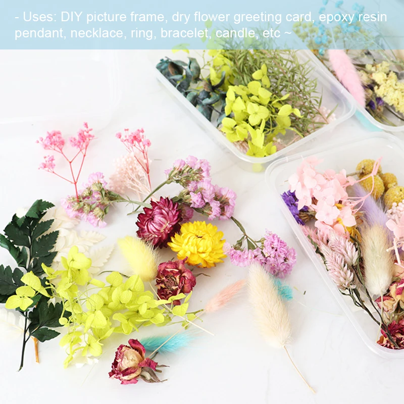 1 caixa de flores secas naturais misturadas flores secas material diy arte decorações florais coleção presente artesanato diy decoração para casa
