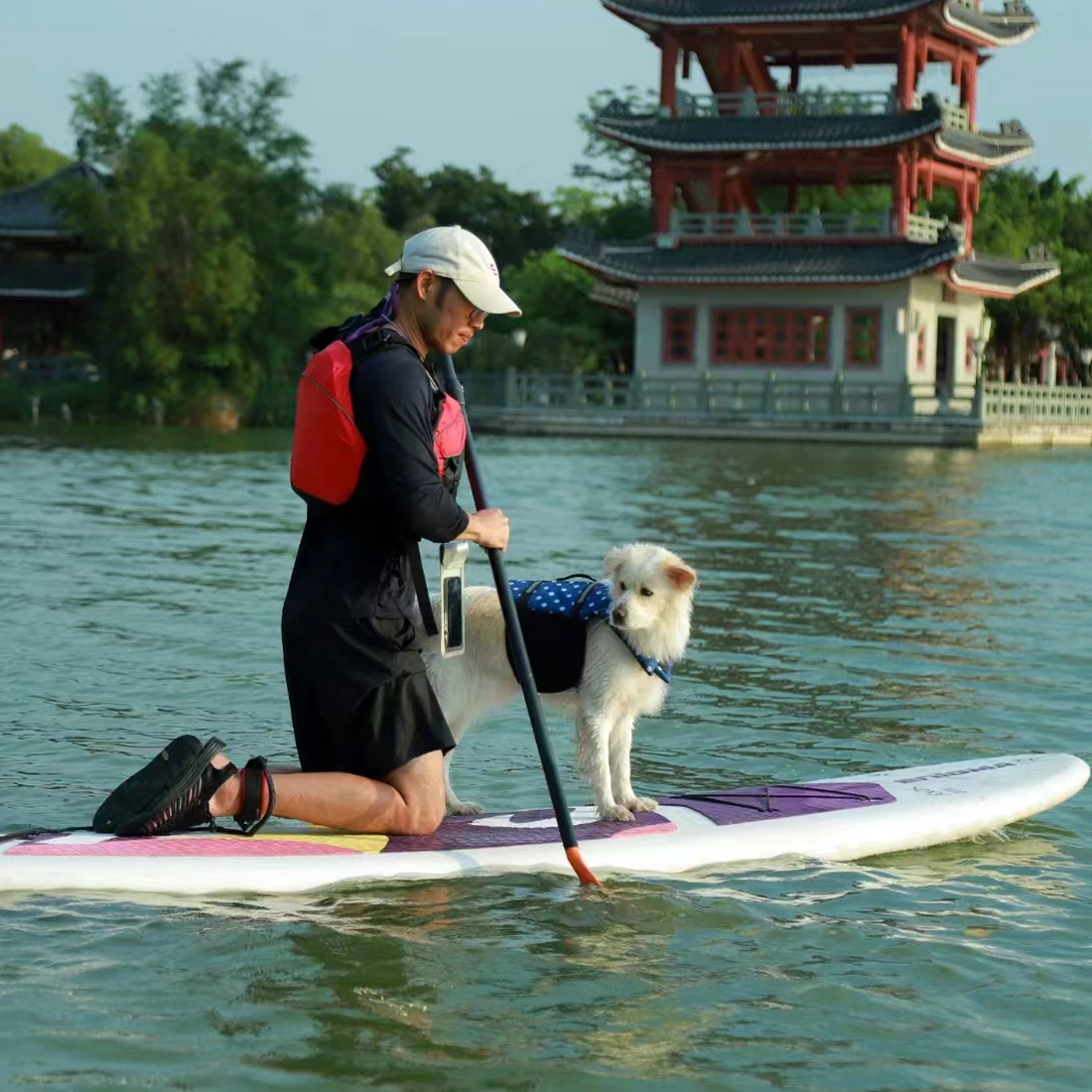 

Hot Sale Rigid Foam Hardshell Molded Durable Plastic Standup Paddle Board