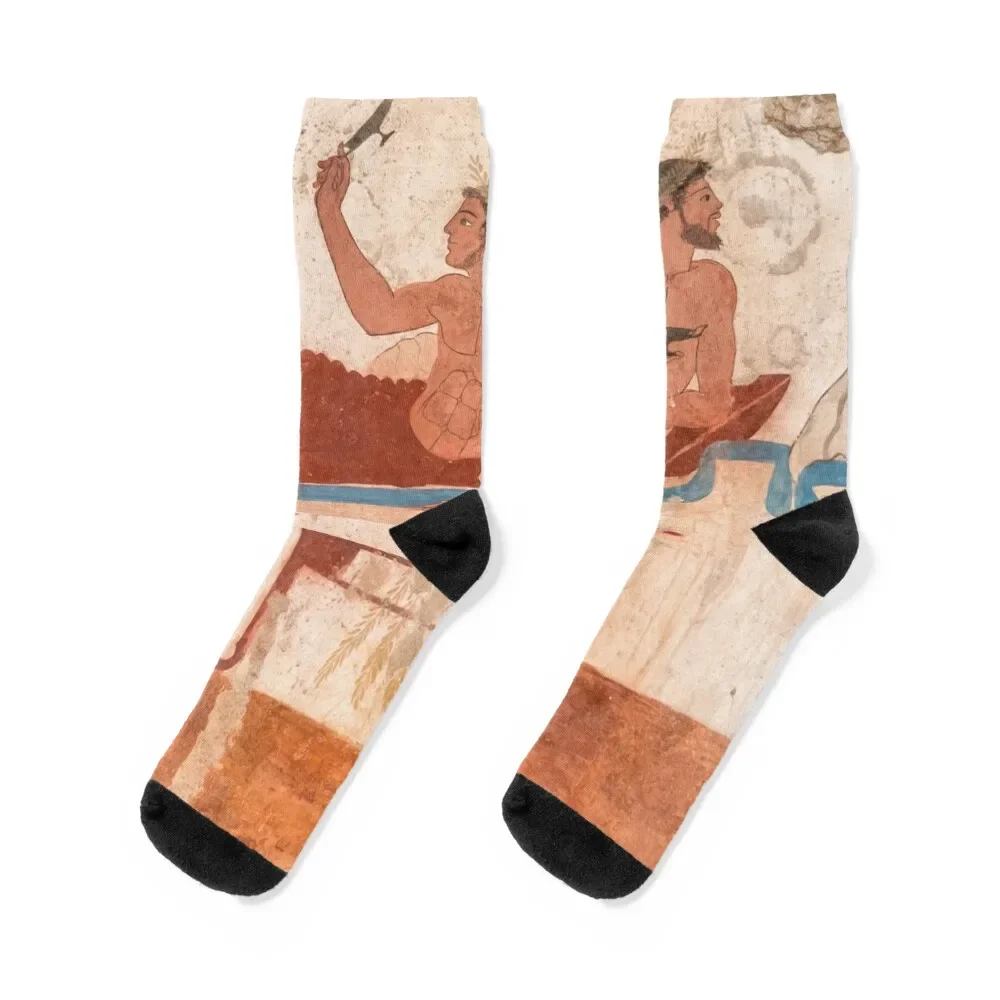 

Ancient Roman Wall Painting from Paestum Italy Socks designer cartoon soccer anti-slip winter Socks Ladies Men's