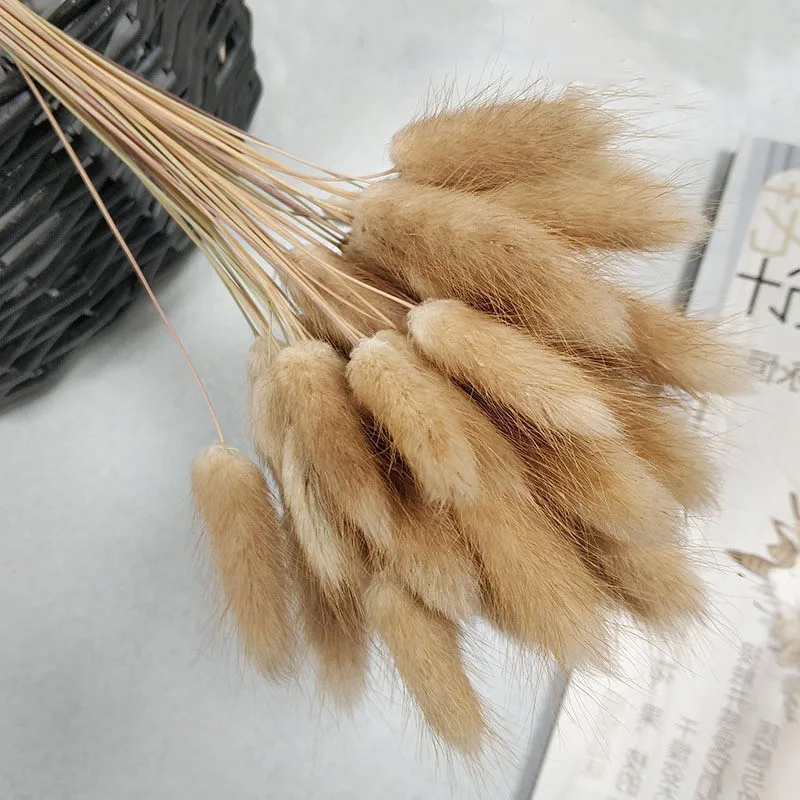 Primary Color Series Small Pampas ,Rabbit Grass,Oat Grass,Millet Spike Natural Dried Flowers For Home Wedding Decor Real Bouquet