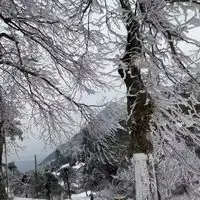 다기능 2 in 1 다이오드 및 Nd Yag 레이저 755 808 1064nm 제모기 휴대용 피코세컨드 레이저 문신 제거기