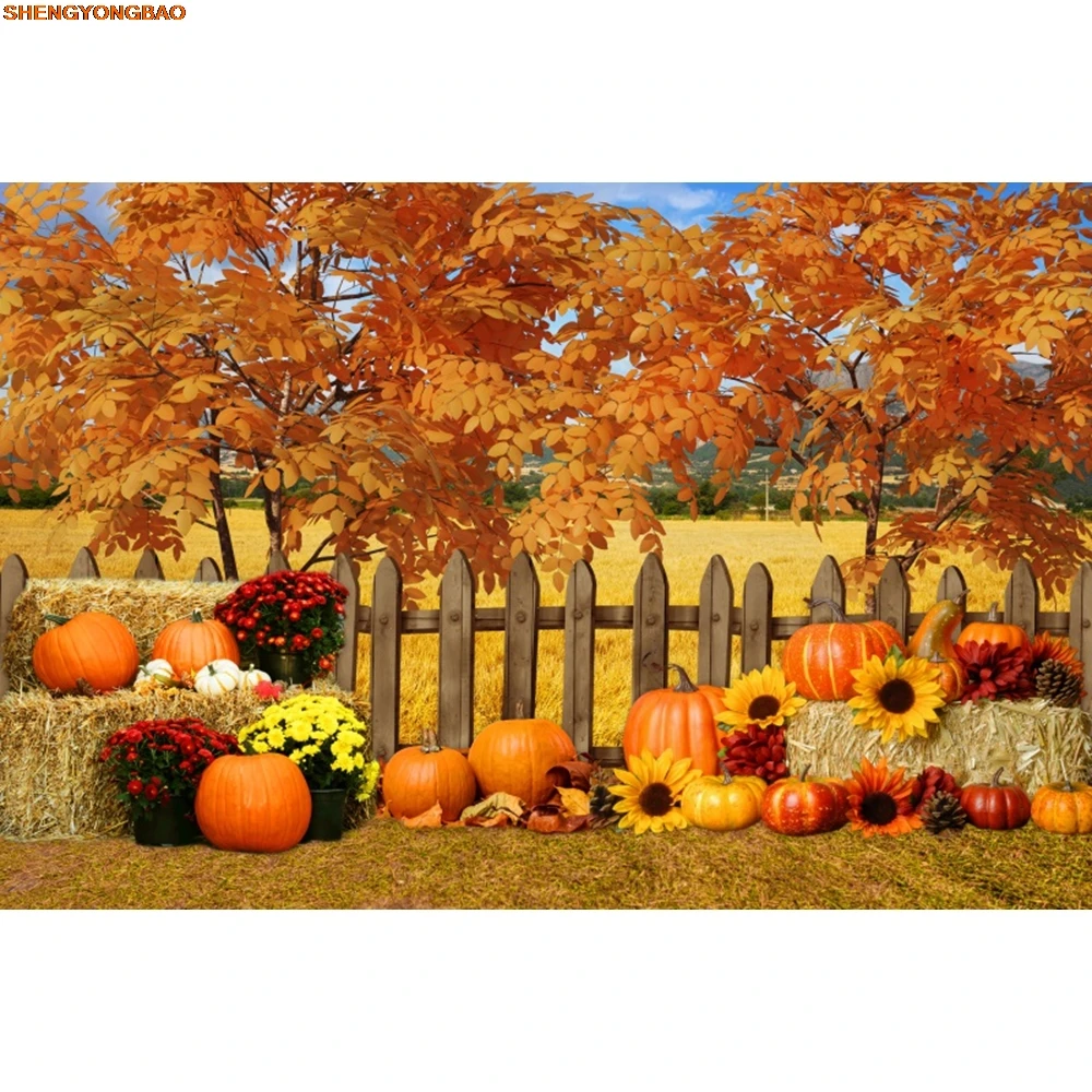 Фон с пшеничным полем, осенняя ферма, золотое поле, небо, белые облака, тыквы, урожай, природа, фон для фотосъемки, декор для фотостудии