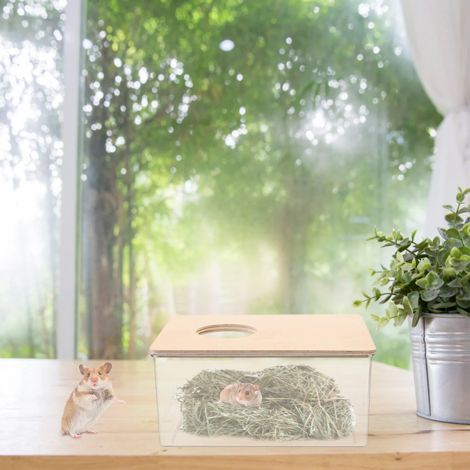 

Hamster Sand Bath Box Transparent Reusable Small Pet Bathtub For Chinchilla Gerbils Guinea Pig Cage Bath Room Pet Accessories