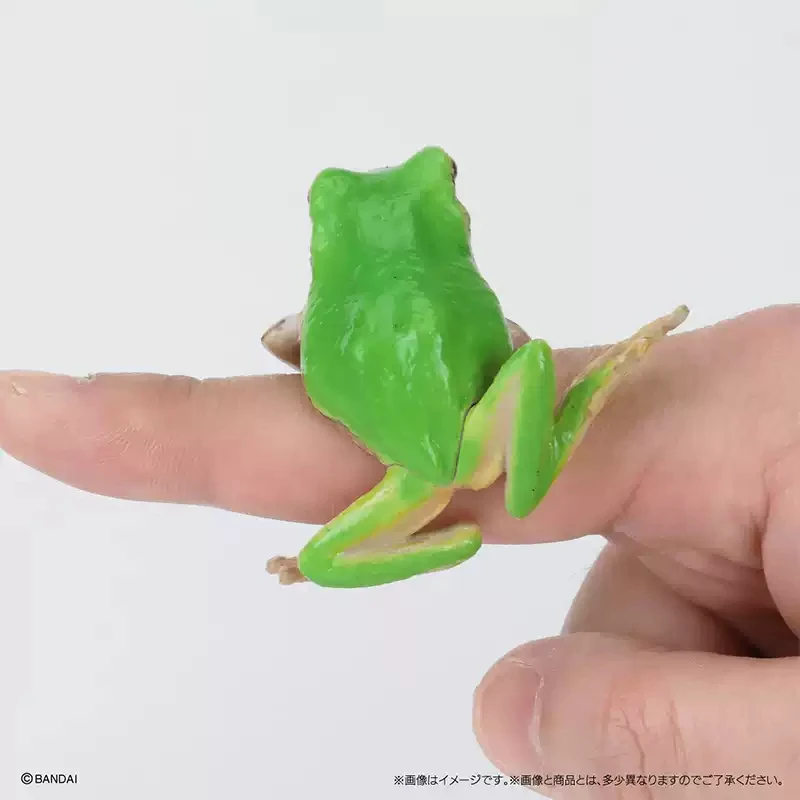 BANDAI Original Toy Ikemono Taisyou ADVANCE Rhacophoridae Gacha Gashapon Anime Action Model Figures Collection