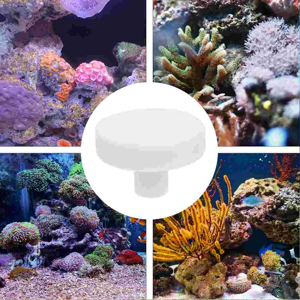 

30 Pcs Cleaning Sponges Coral Pedestal Fish Tank Reproduction Ceramic Base T-type Rack