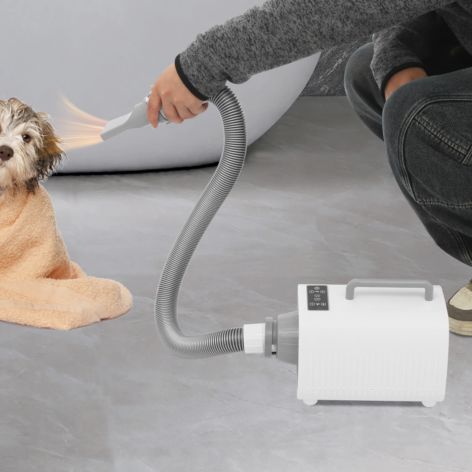 

2100W Pet Hair Dryer Adjustable 25-60℃ Dog Hair Drying Tool Dog LED Smart Touch Screen Grooming Dryer 3 Nozzles For Dogs Cats