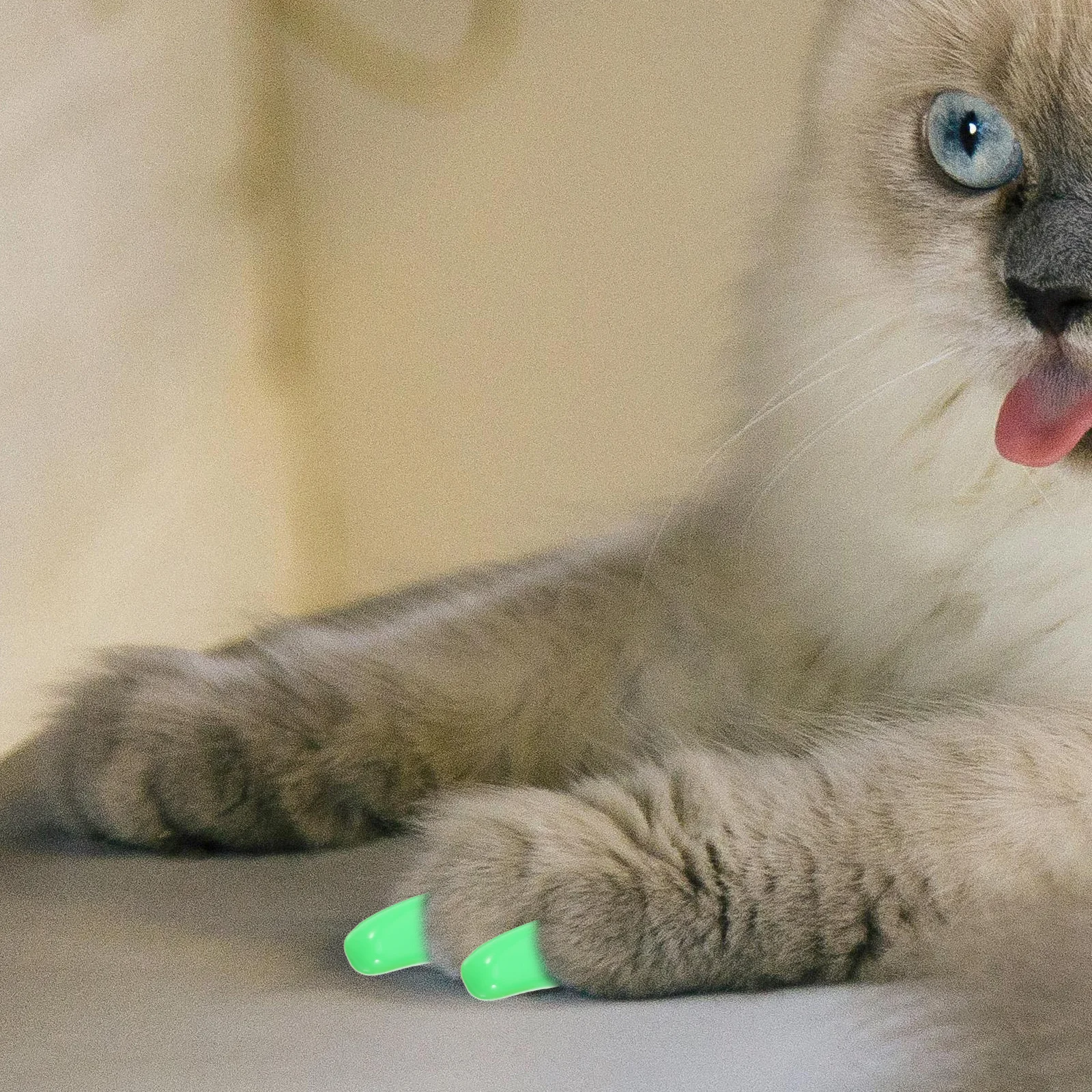 

140pcs 7 Sets Cat Claw Caps Durable Pet Nail Caps For Cats Scratch Resistant Furniture Protector Comfortable Natural Fit Lovely