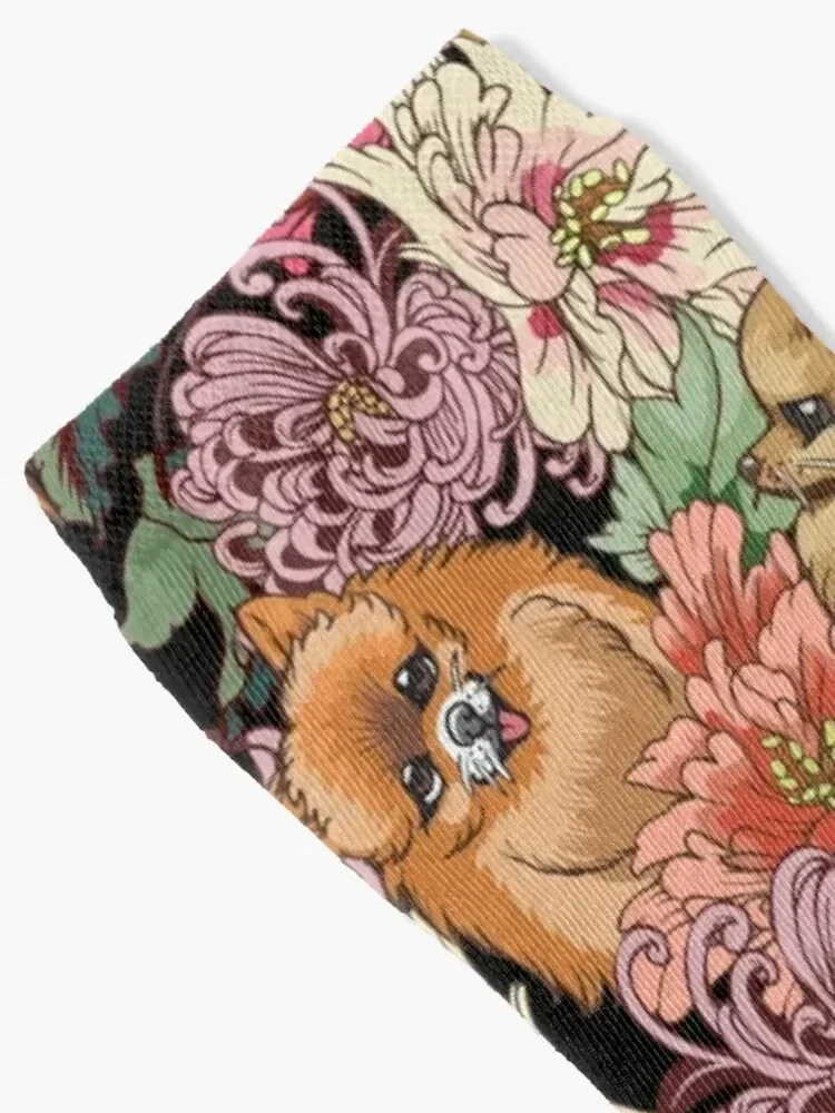 Because Pomeranians Socks aesthetic Stockings man warm winter cool Man Socks Women's