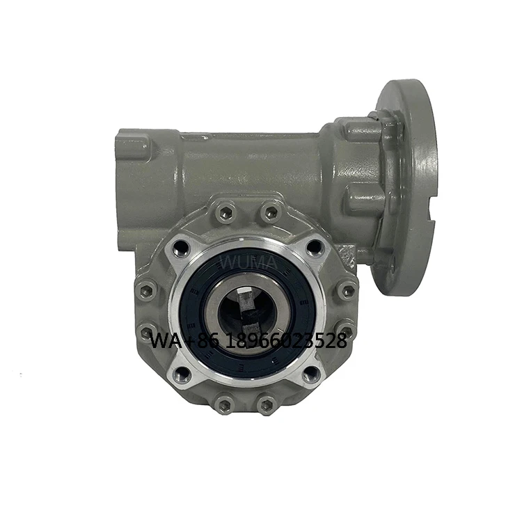 

Reductores De Velocidad Worm Gear Box Speed Reducer Gearbox for Machinery Farm and Industry
