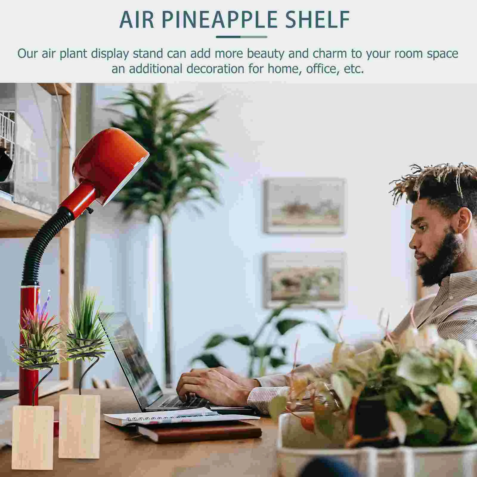 5-teiliger Luft-Ananas-Ständer, Pflanzenholzhalter, Rack, Display, Pflanzgefäß, Tischplatte, Desktop