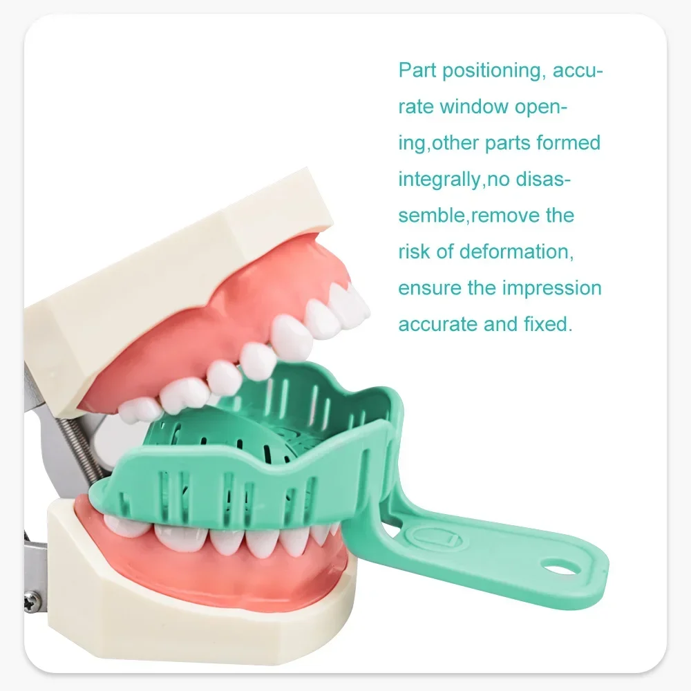 ELIJAH 6Pcs/Set Orthodontic Braces Dental Denture Braces Plastic Impression Tray Full Mouth Removable Partial Mold Tooth Tray