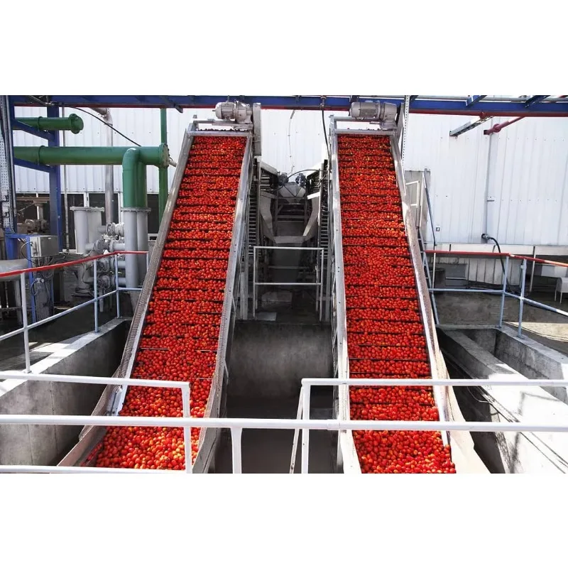 Factory price ketchup processing factory Small ketchup production line