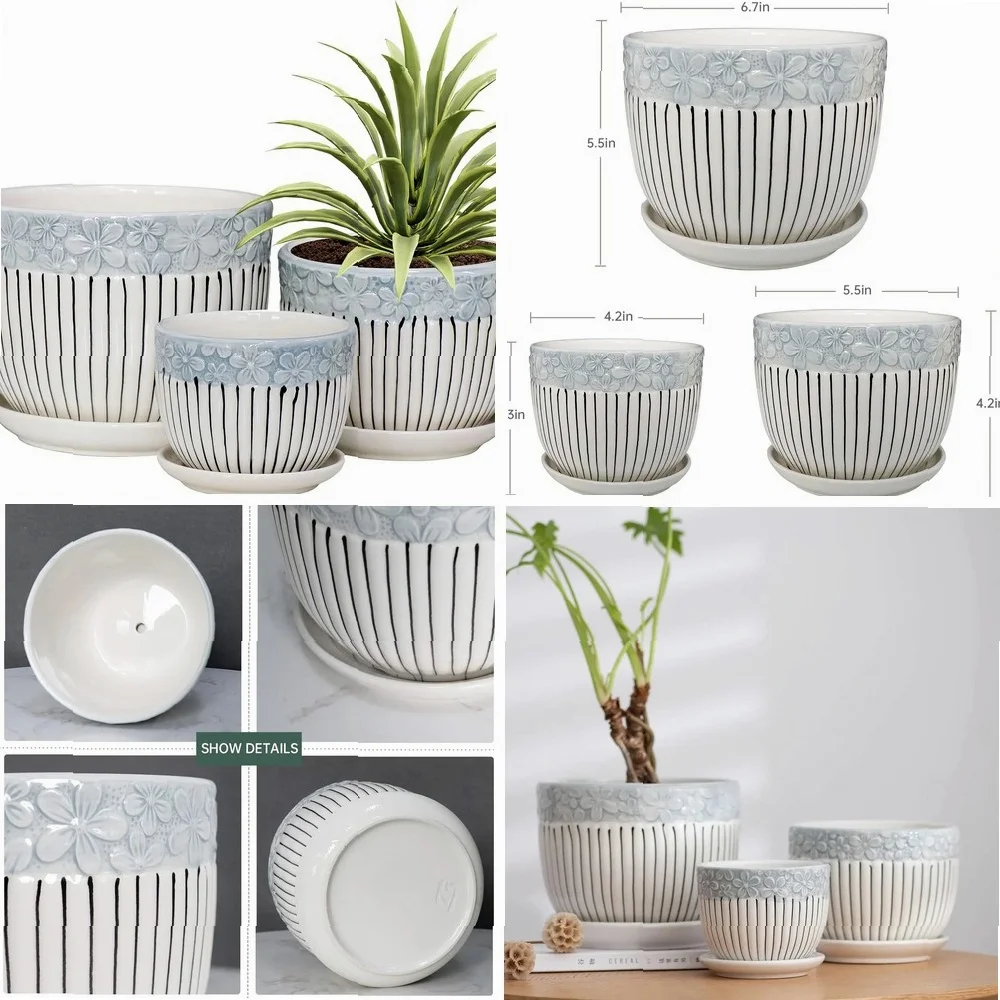 Texture Planter for Indoor Plants Set of 3 Ceramic Flower Pots with Saucer,Cute Garden Pots Succulent P