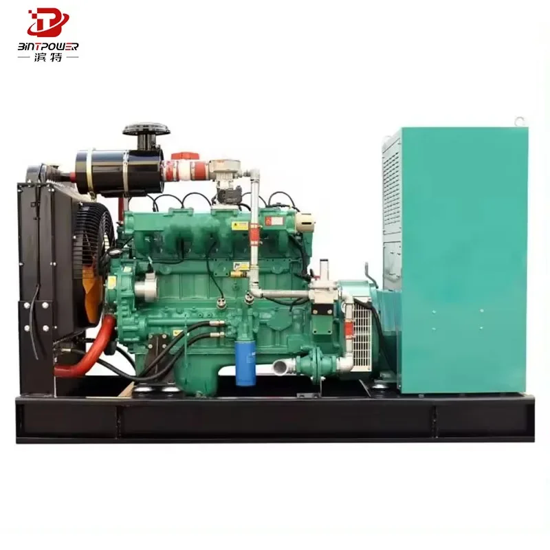 LPG biogas natural engine generator CUMMINS 500kw electric generator price