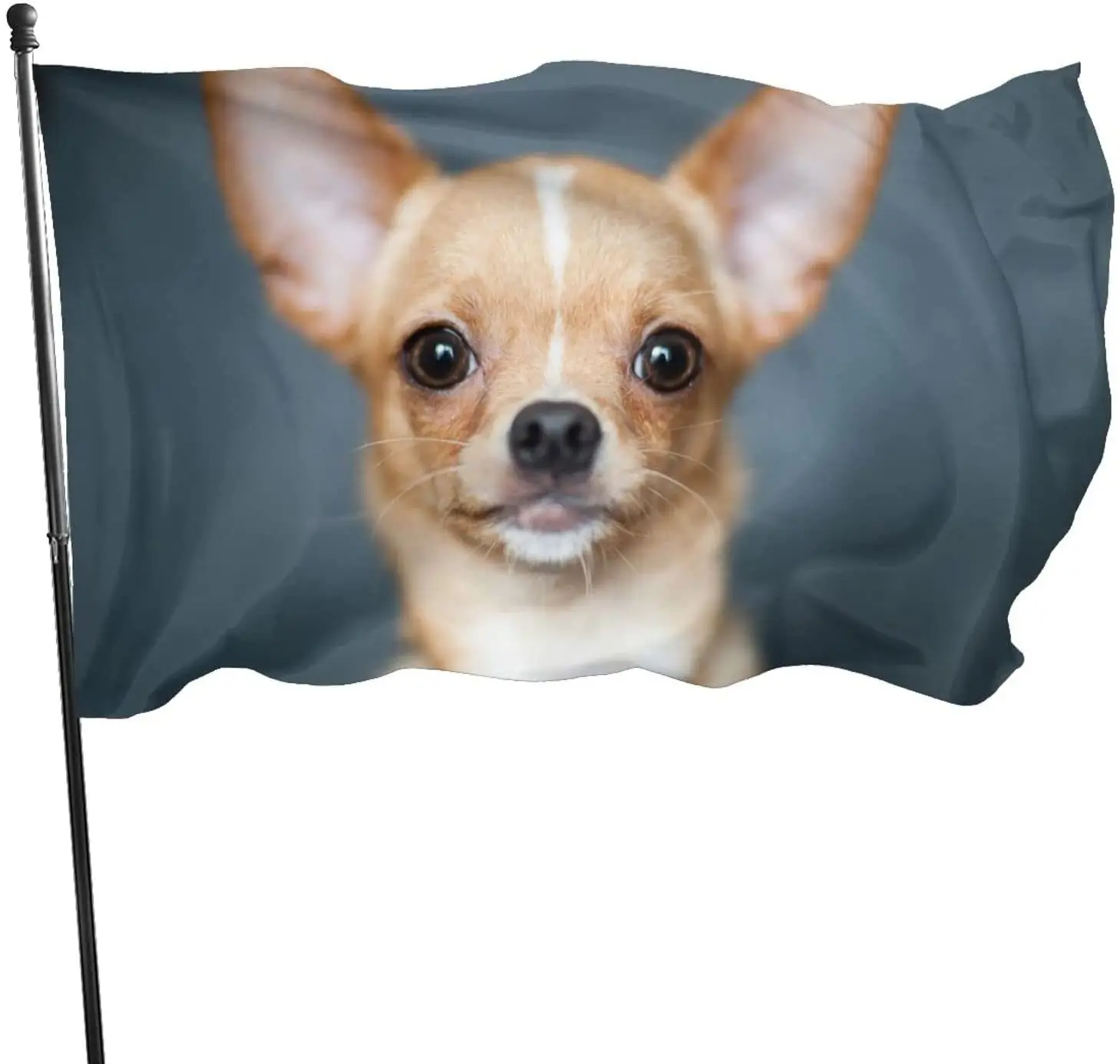 Chihuahua Dog Surfing and Playing Guitar Garden Flag Home Decoration Outdoor Indoor Decor Polyester Flag for Women Men Kid Gift