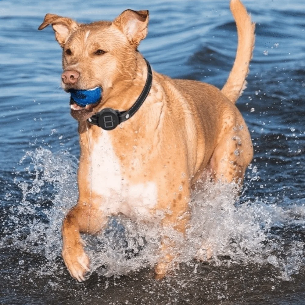 

Rechargeable Smart Dog Anti Bark Device Waterproof Remote Control Electric Anti Bark Collar Vibration Mode Intelligent