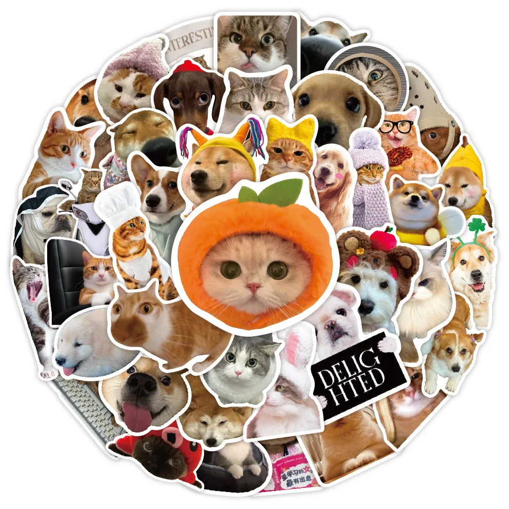 50PCS Nette Hund Katze MEME Lustige Tiere Aufkleber Kawaii Cartoon Aufkleber Skateboard Notebook Gepäck Telefon Auto Aufkleber Spielzeug