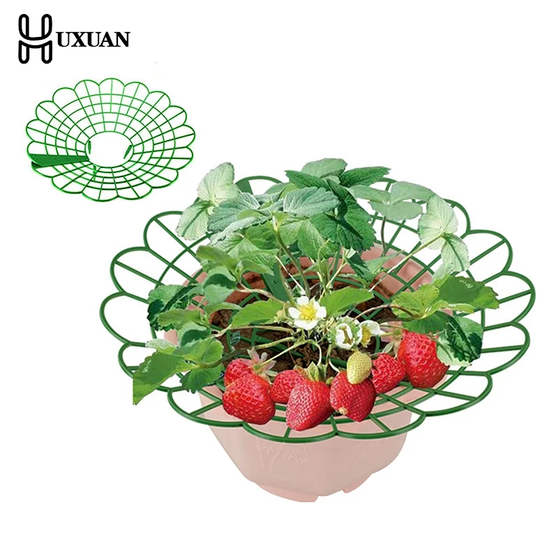 

1Pcs Strawberry Plant Supports with 3 Sturdy Legs Strawberry Growing Racks Protector Frame Holder Cage From Mold Rot Dirt