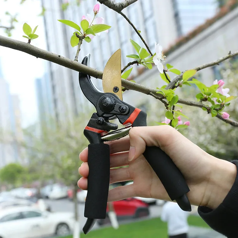 

Секаторы Садовые ножницы для бонсай Садовые ножницы Обрезка ветвей Цветочная композиция Экономия труда Большие толстые секаторы