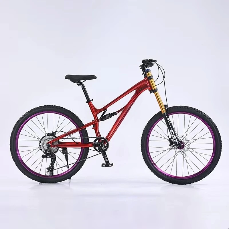 

Hydraulic Disc Brake Mountain Bike Bicycle