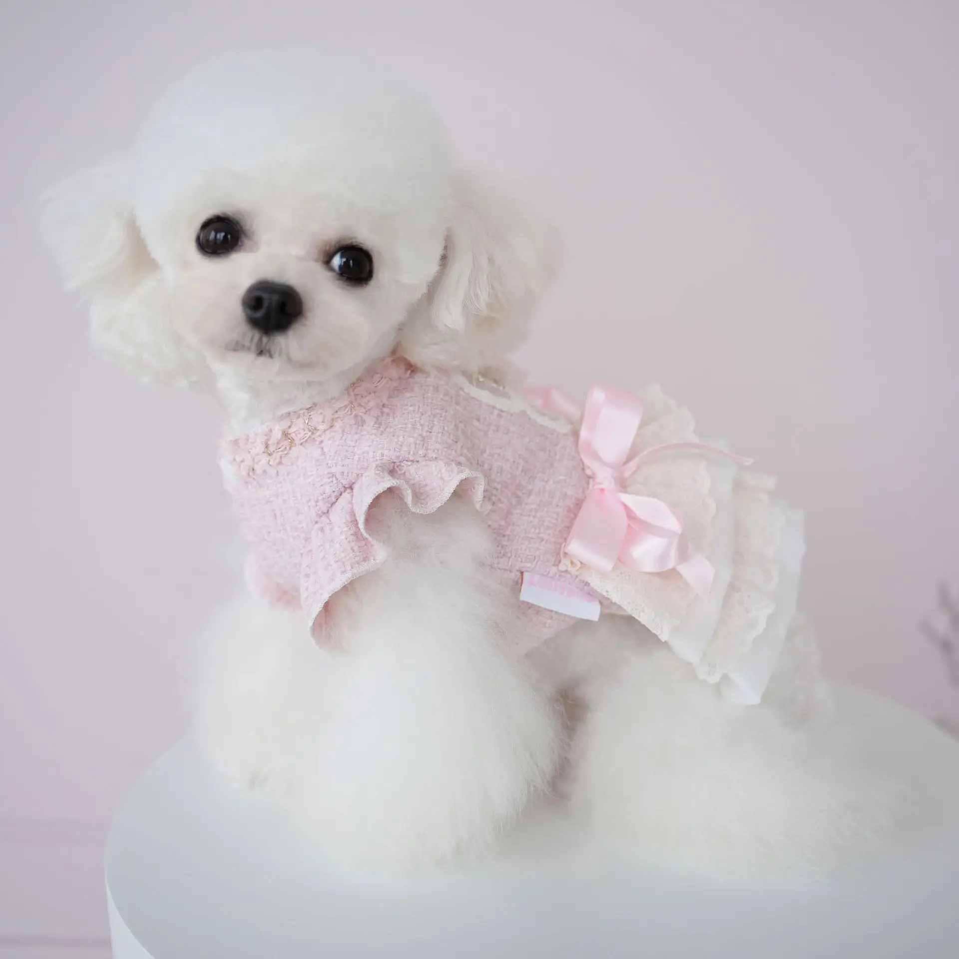 New Pet Clothing Couple Dog Coat Pink Lace Bow Cute Cake Skirt Cat Dress Fashion Design Can Lead Dog Clothing