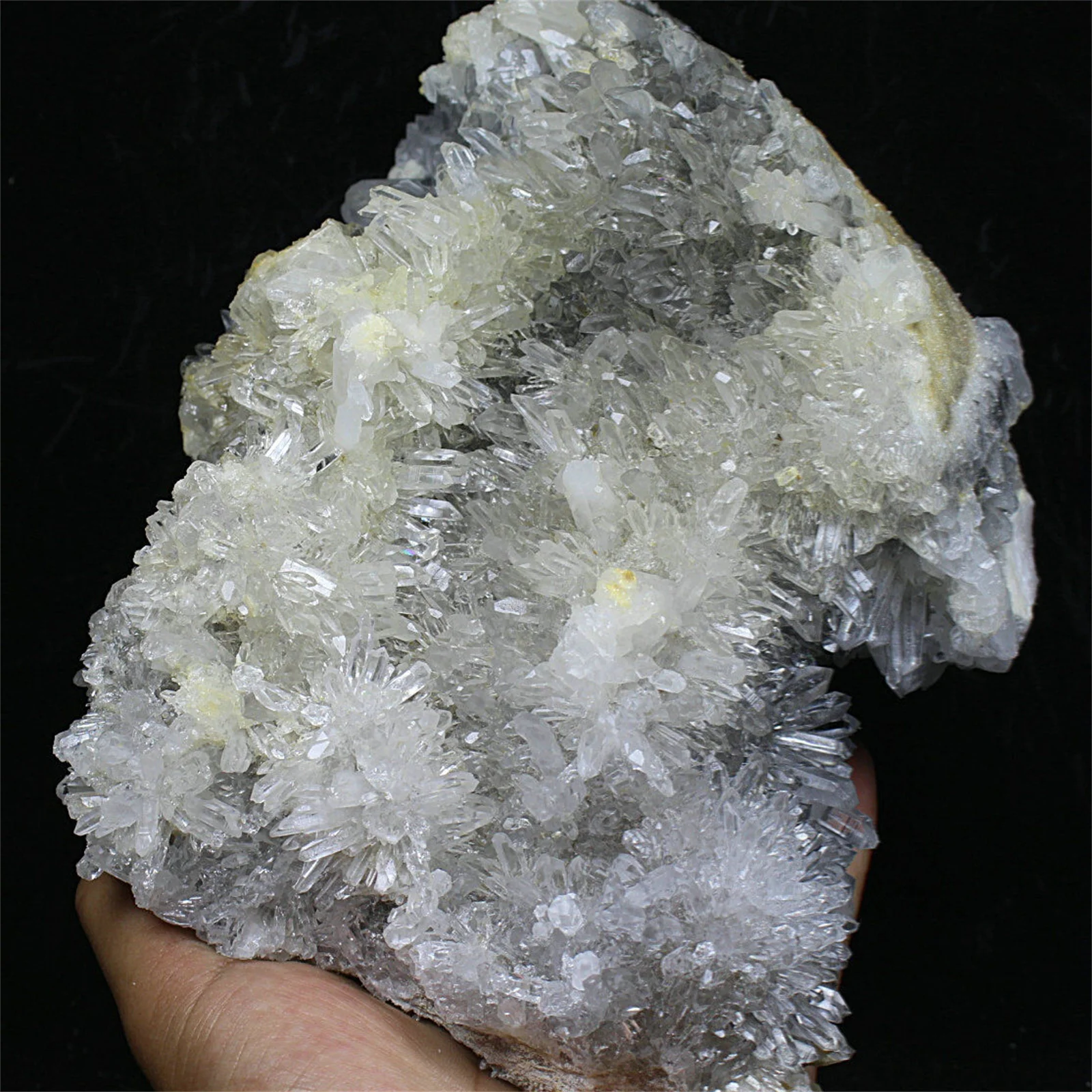 

Newly Discovered Transparent Natural White Chrysanthemum Crystal Cluster Quartz Specimen Home Office Decoration Reiki Healing