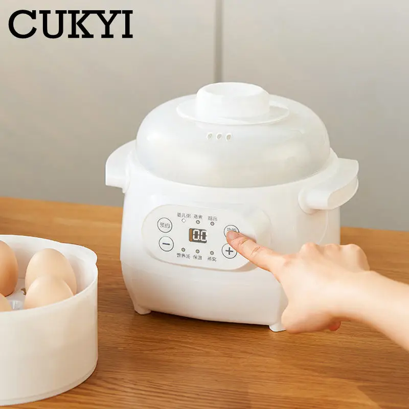 110V 220V Panci Rebusan Listrik dengan Steamer 1L Pot Keramik Multifungsi Penanak Lambat Bubur Bayi Birdnest Tonik Hamil Didihkan