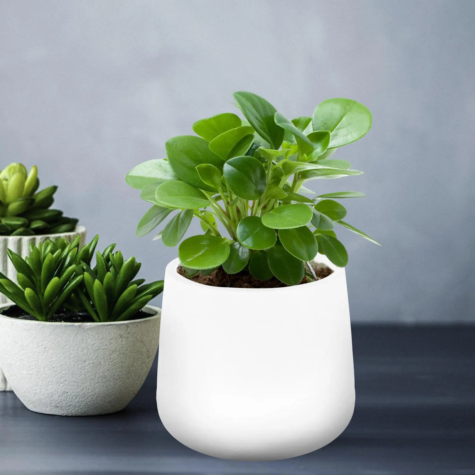 2Pcs Stylish Round Plastic Plant Pots Featuring Ventilation Holes Drainage Tray Ideal for Indoor Outdoor Plants Succulents