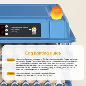 حاضنة بيض صغيرة مع نوع درج ، حاضنة أوتوماتيكية ، تجديد أيونات ، تحكم في درجة الحرارة ، 12 ، 15 ، 24 أعلى 6 مبيعات 24 حاضنة بيضة - رقم 5