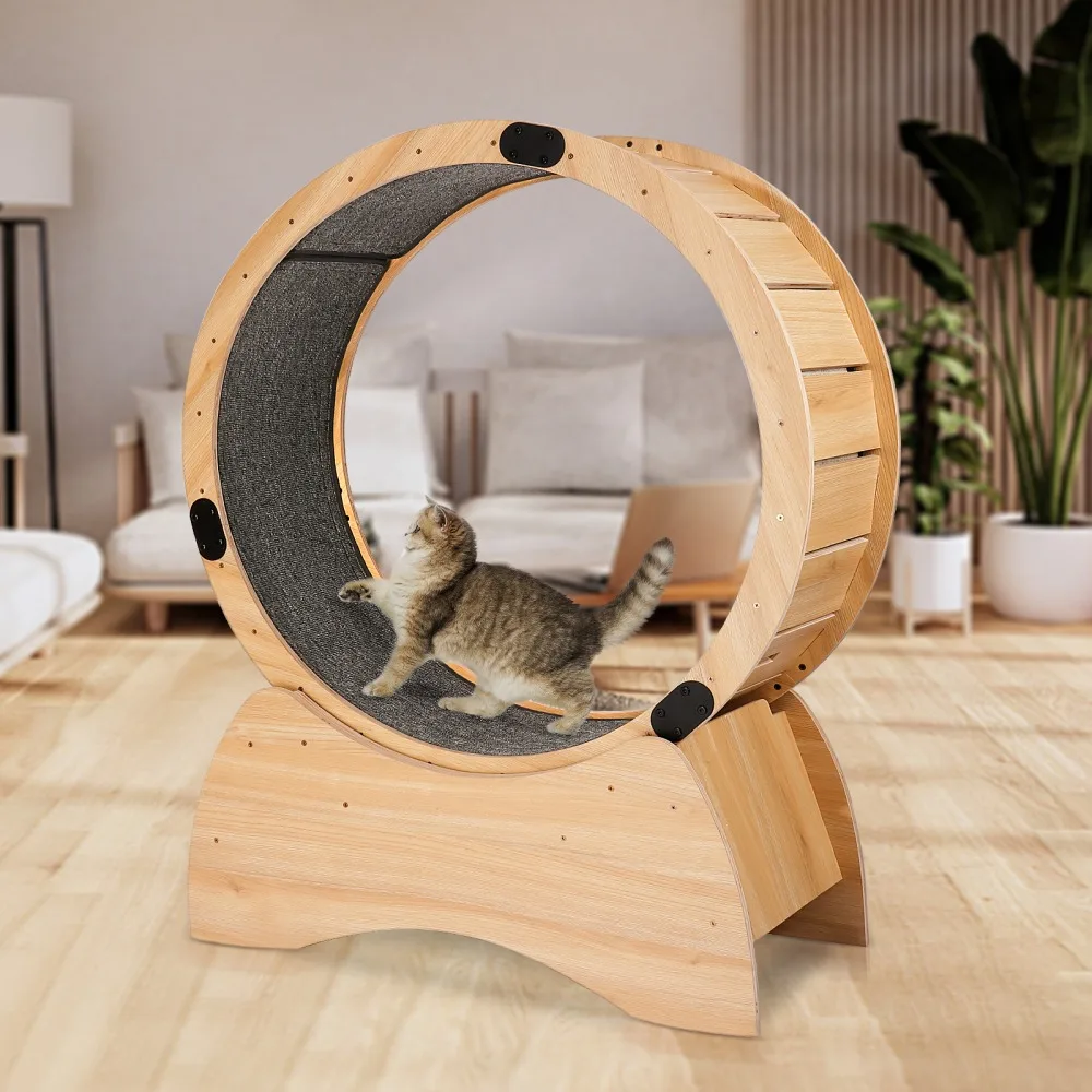 Cat Exercise Wheel – Running,  Kitty Cat Sport Toy, Great for Physical Activity and Reducing Boredom