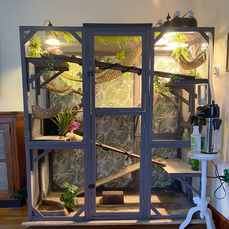 SDCH011-B Eco-friendly Outdoor Wooden Enclosure For Reptile Cage Chameleon Lizards Guanas Cage Cat House