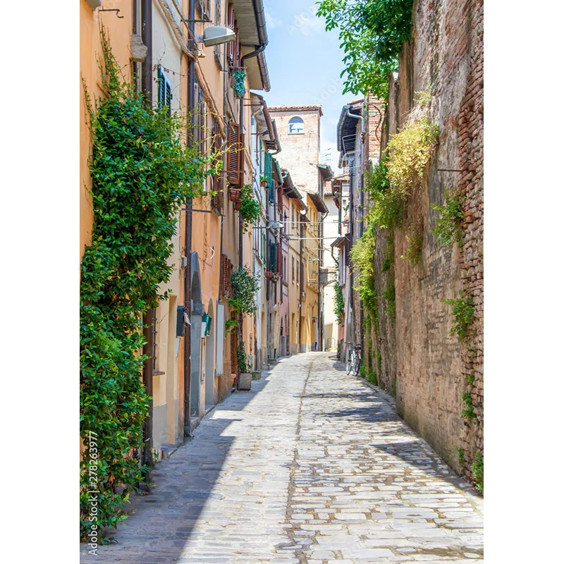 خلفيات تصوير مشهد أوربي عتيق من نيتري ، مستلزمات تصوير فوتوغرافي ، خلفيات صور زفاف ، خلفية استوديو ، * *