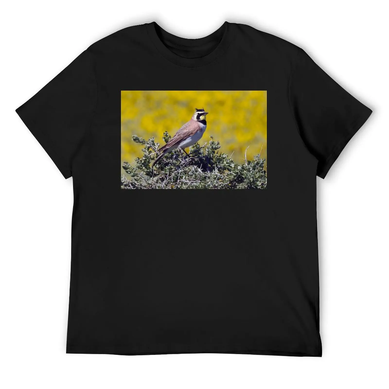 

Wild birds, horned lark, wildlife gifts, nature T-Shirt anime tshirt blanks kawaii clothes t shirt men