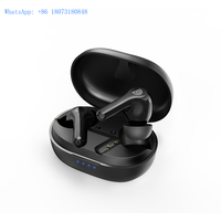 H012 2024 Newest TWS Bluetooth Rechargeable Hear Aids Multi-Channel Digital Sound  Amplifier Noise Suppression For Senior