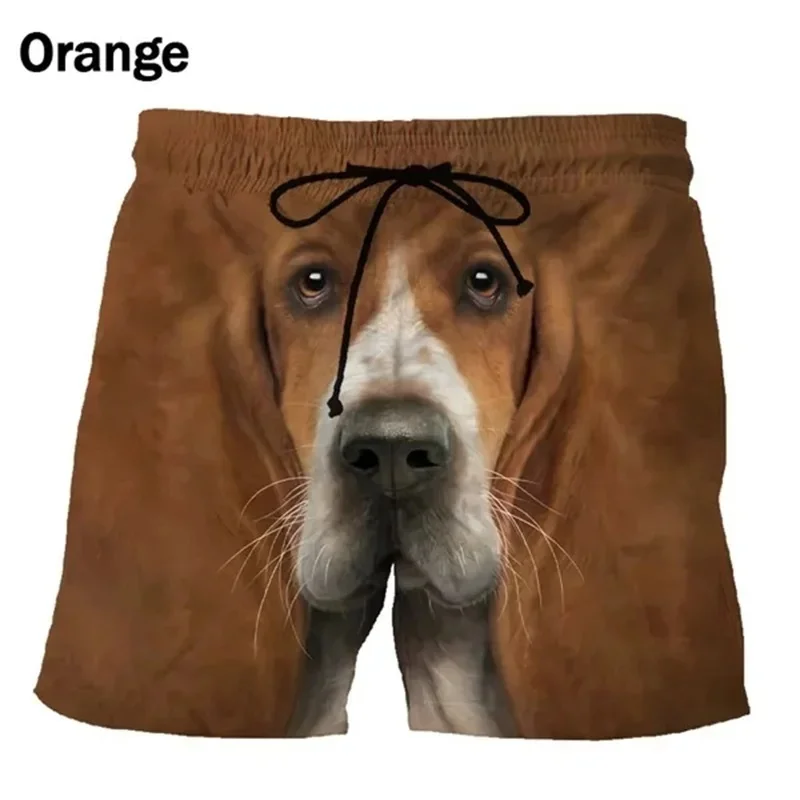 New Funny Animal Graphic Beach Shorts Visual Amplification For Men 3D Printed Surf Board Shorts Beachwear Casual Quick Dry Trunk