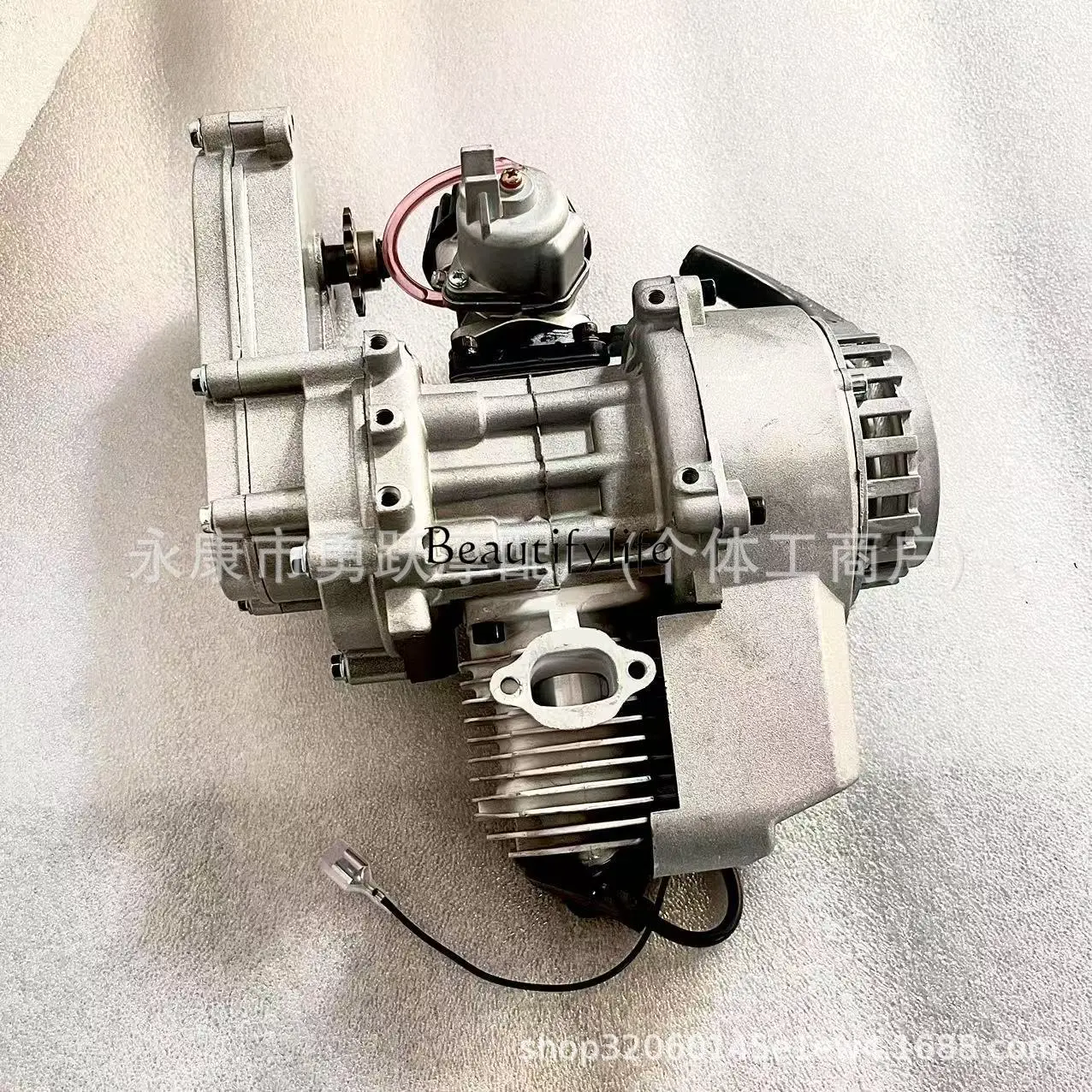Mini Motorcycle Parts Two-stroke Engine Modified Engine Transmission