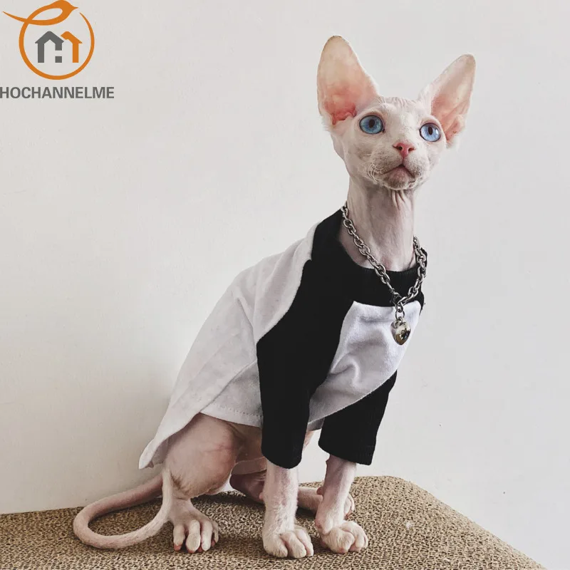 Casual Baseball T-shirt for Cats, 100% Cotton, Trendy Base Shirt, Sphinx, Summer and Autumn Clothes