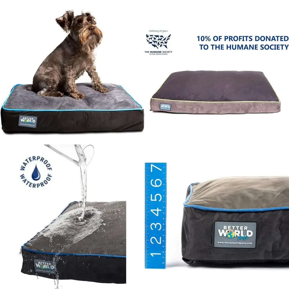 سرير كلب من إسفنج الذاكرة لتقويم العظام بسمك 5 بوصات مع غطاء قابل للإزالة قابل للغسل 180 جرامًا للمتر المربع، صغير (24 بوصة × 18 بوصة × 5 بوصة) (كلاب 1-20