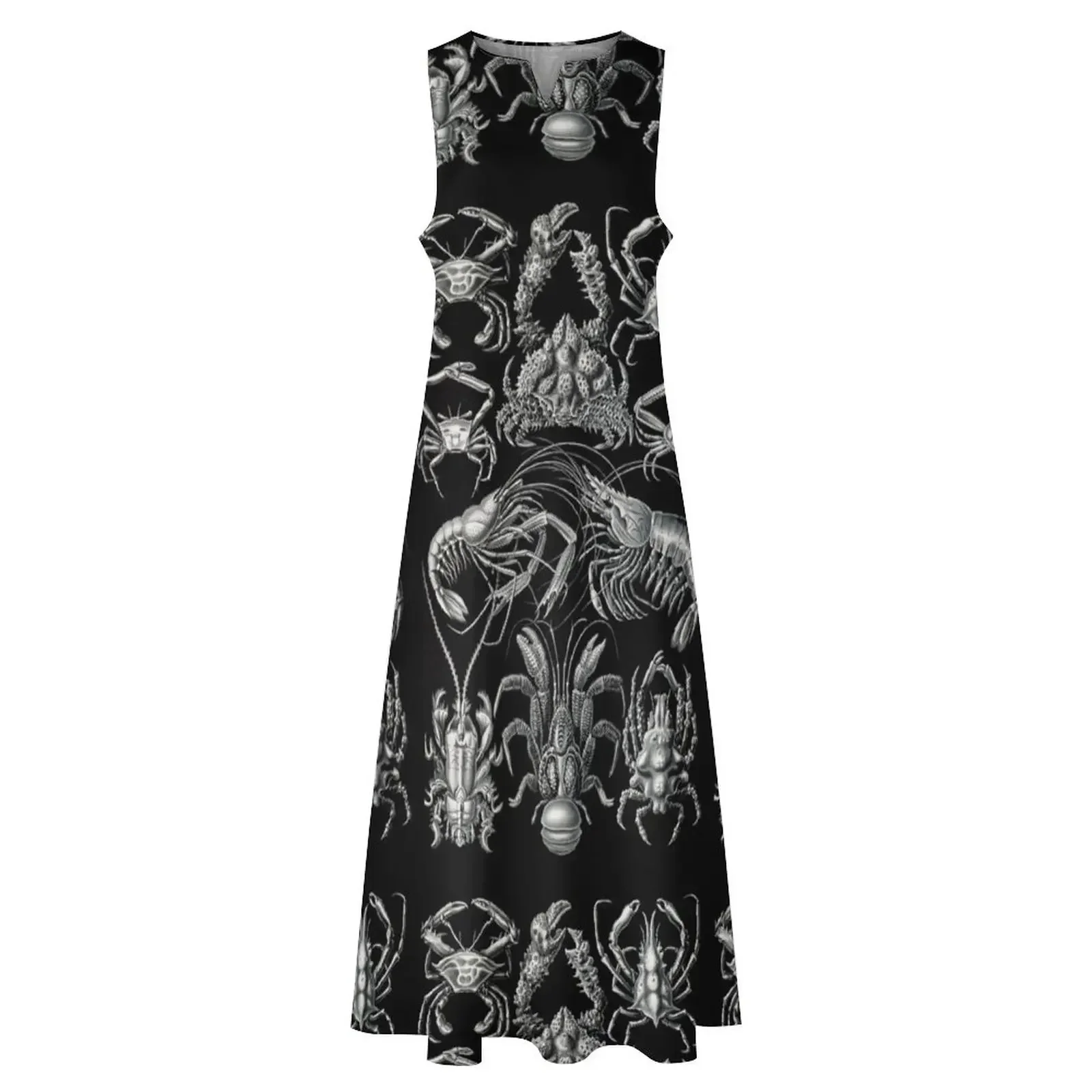 Decapoda – Beehnfukkreble, caranguejo azul Chesapeake, camarão branco, camarão Whiteeg de Ernst Haeckel Vestido longo