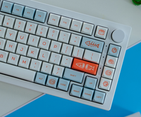 KeysLand HSA Profile Keycap Mechanical Keyboard PBT For Cherry Mx Dye Sub Similar to XDA Salmon 131keys for Gateron Yellow Boba
