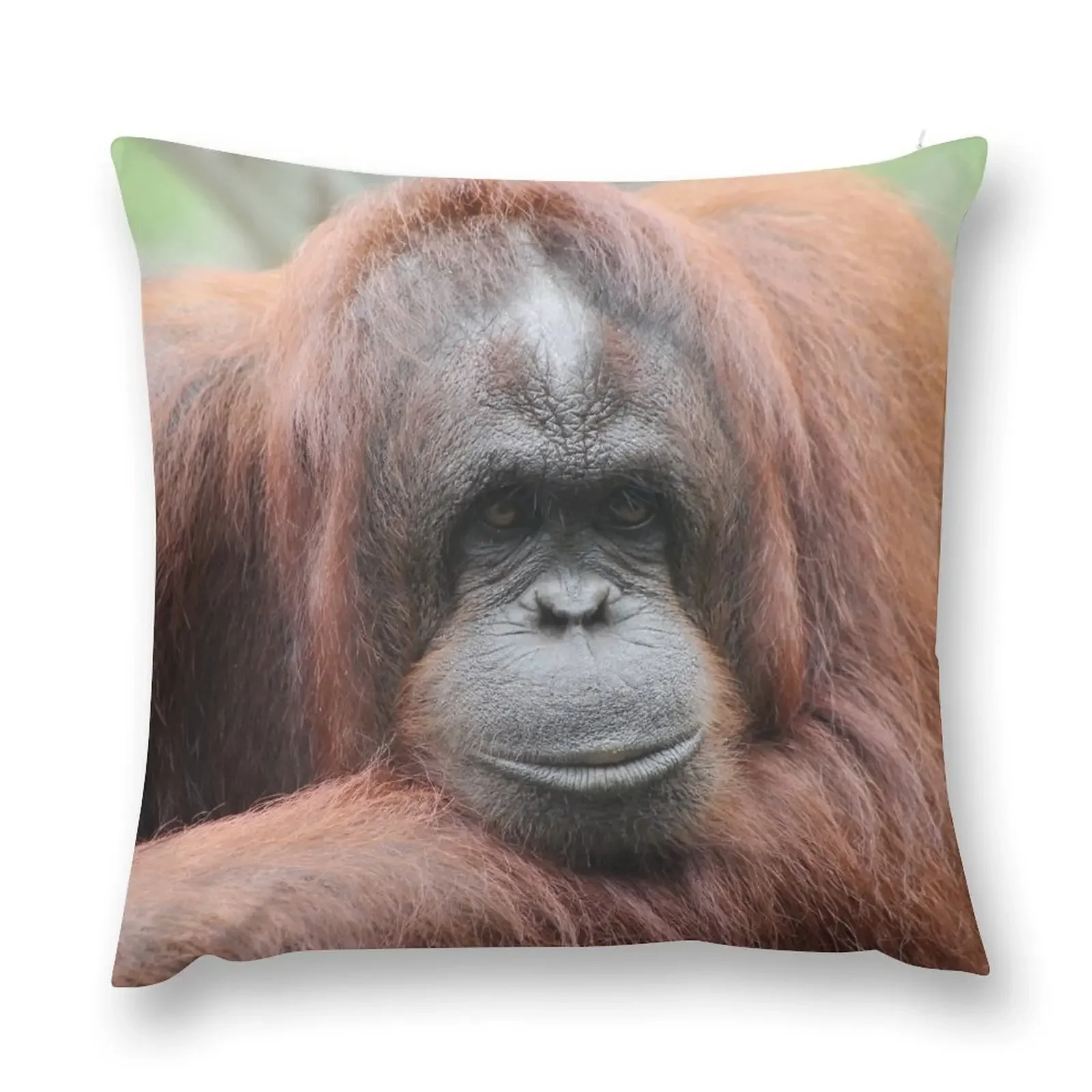 Orangutan Throw Pillow Cushions For Sofa Cushion Child pillow