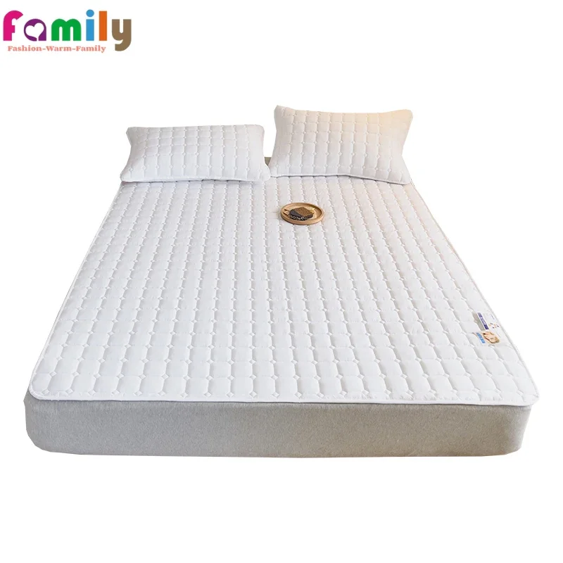 

Antibacterial Flannel Mattress Cushion for Household Single Student Dormitory Foldable Tatami Chool Home Bed Mat Single Size 1pc