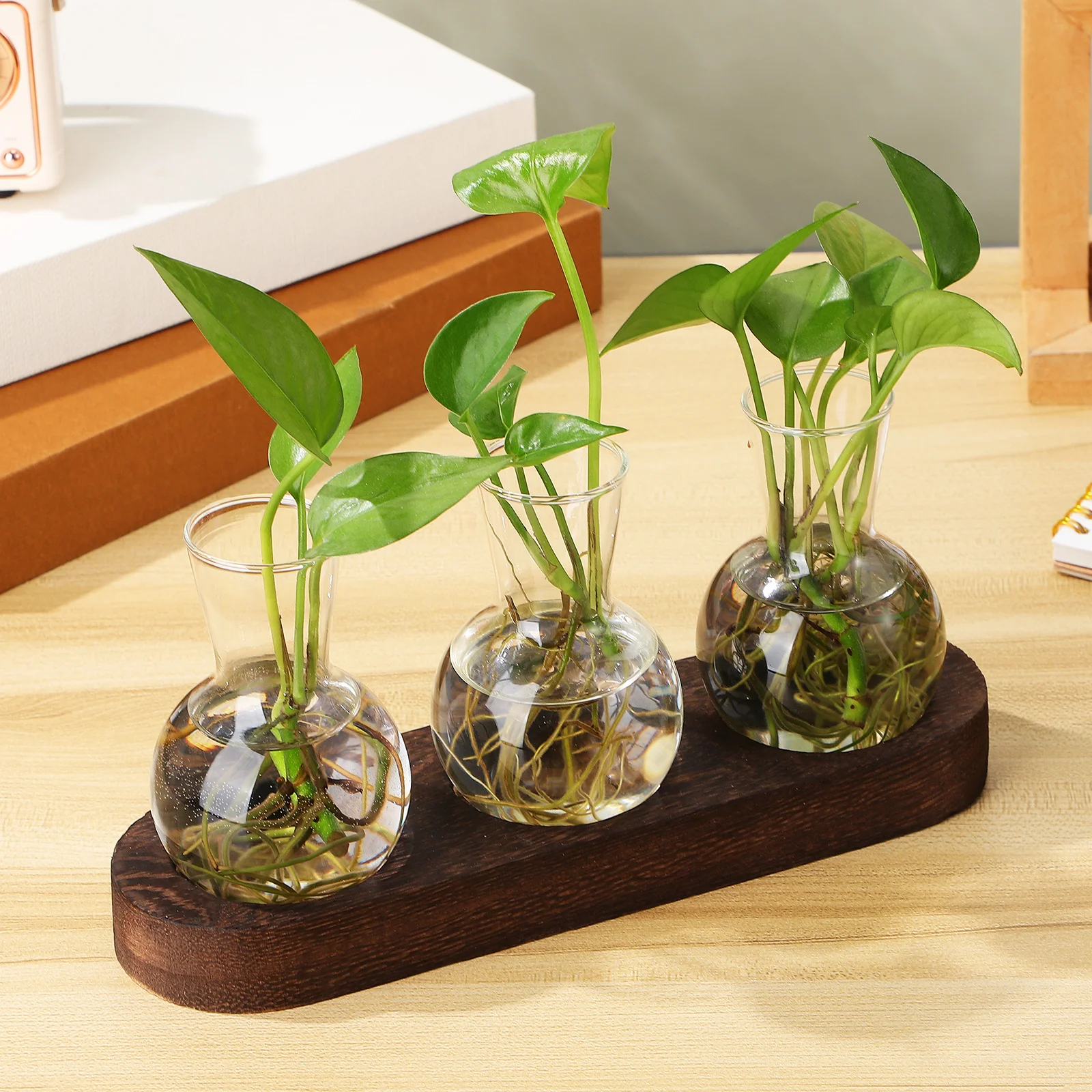

1Set Hydroponic Glass Vase Clear Desktop Planter for Plant Propagation Station Terrarium Kit Tabletop Centerpiece Home Office