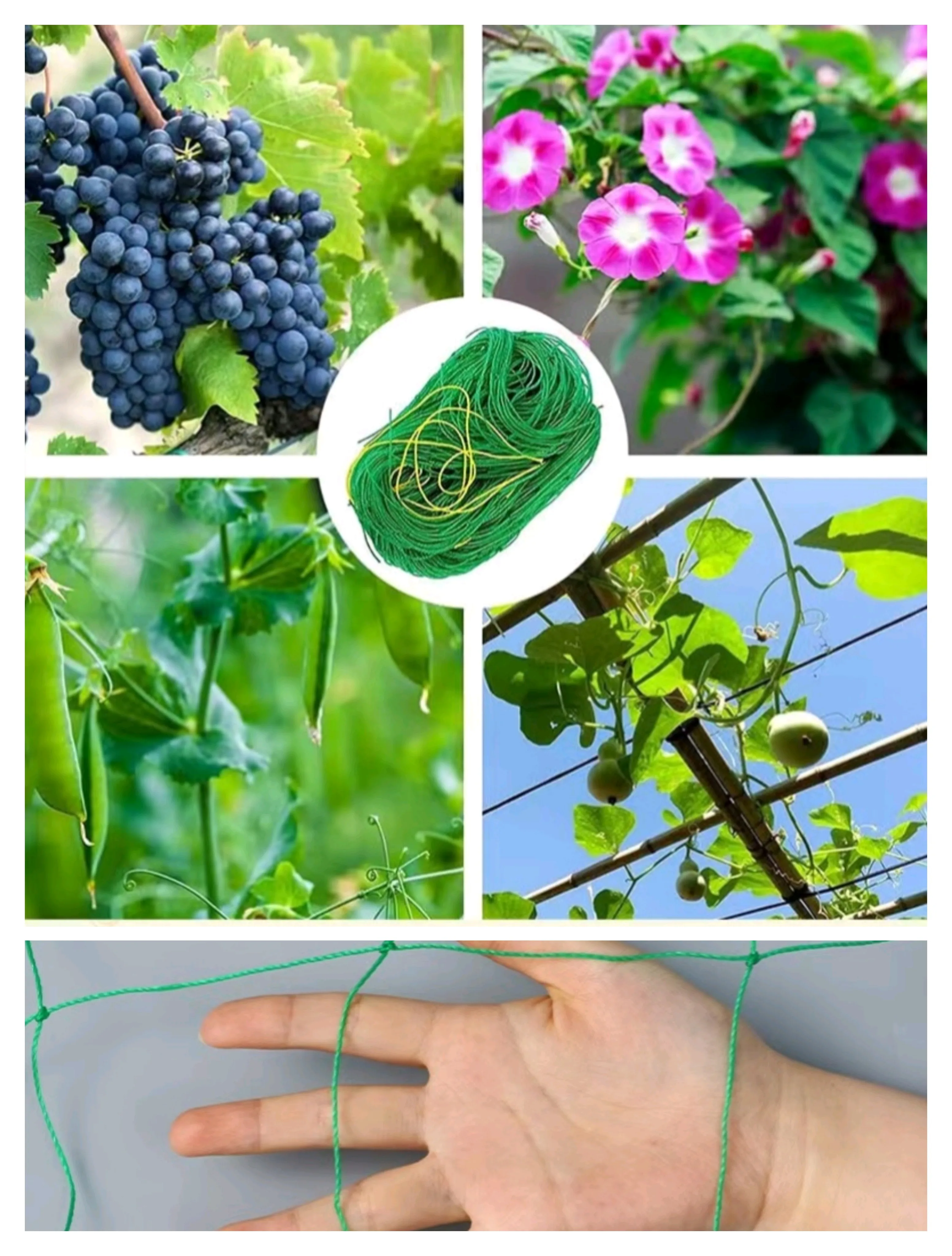 Pflanzgarten-Rankgitternetz für Weinreben und Gurken, Bonsai-Rahmen, Nylonnetz für Kletterpflanzen zur Haushaltsnutzung