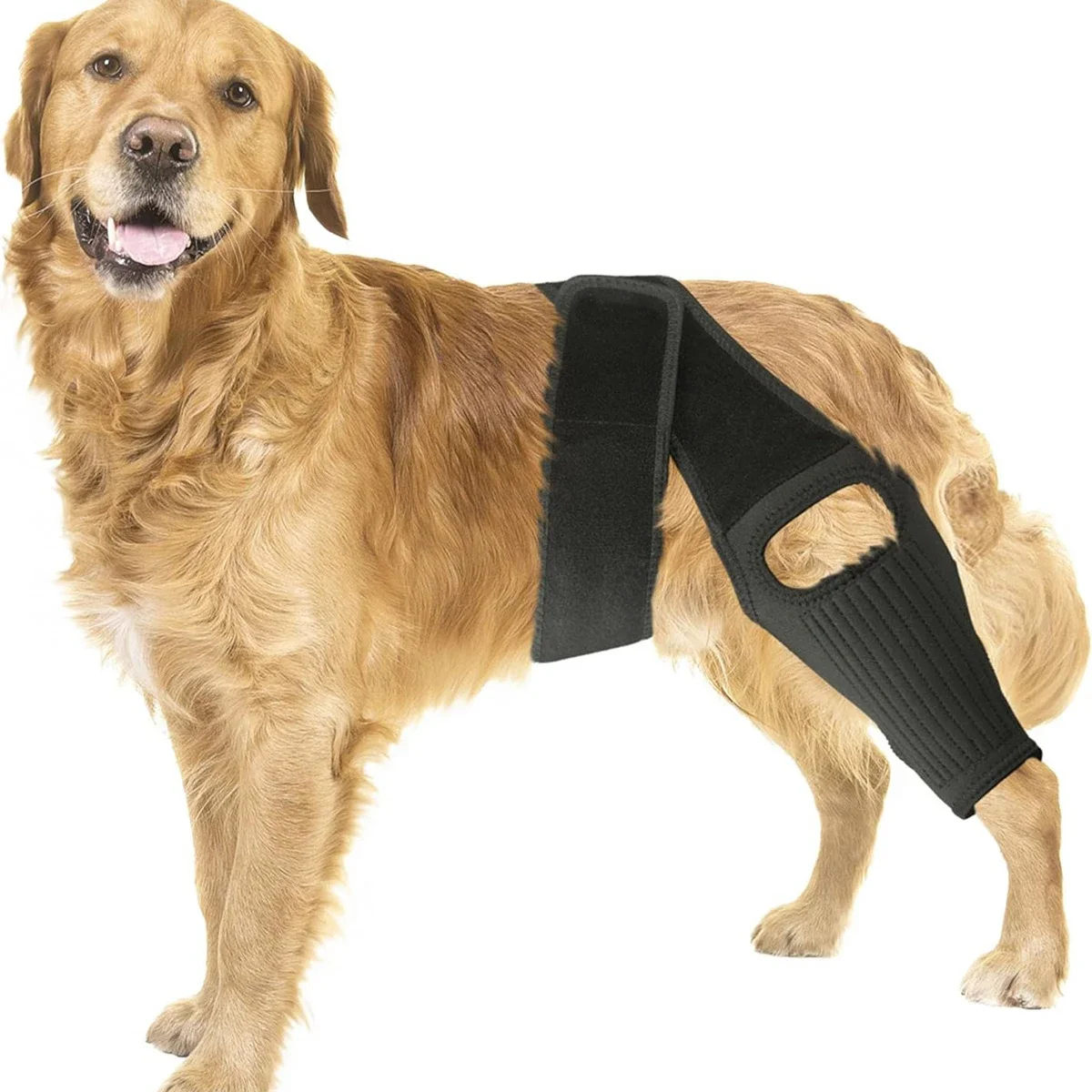 Adjustable Large Dog Knee Brace for Support and Recovery from Cruciate Ligament Injury, Joint Pain, and Muscle Soreness