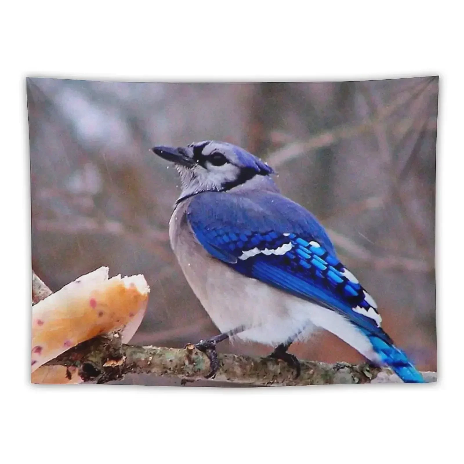 

Bluebirds and Bagels Tapestry Nordic Home Decor Bedroom Decor Wall Mural Tapestry