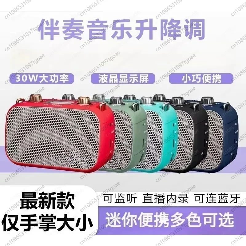 YYY Electric blowpipe speaker, small stereo, portable internal recording and broadcasting singing instrument