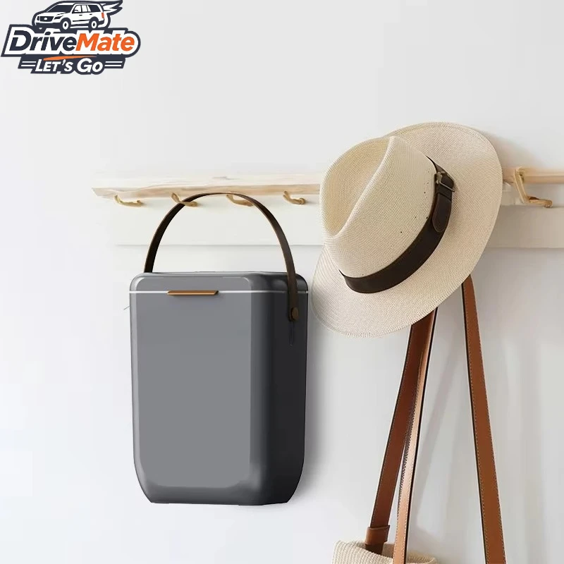 

10L Refrigerator Camping Display Fridges and Commercial Freezer Physical Freezing Car Fridge