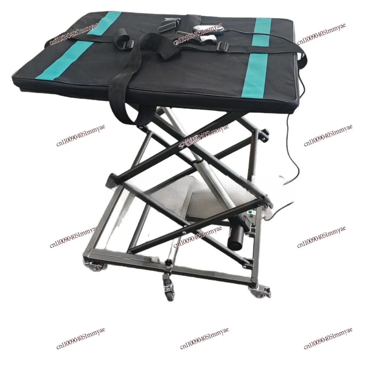 Household Small Electric Lift Platform Vehicle, Outdoor Portable Hydraulic Lift, Pet Hospital Lift Frame